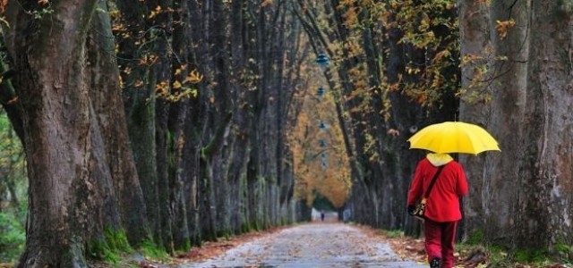 Rozpoczynamy sezon grzewczy.